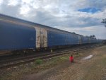 CPS FLT-302355-9